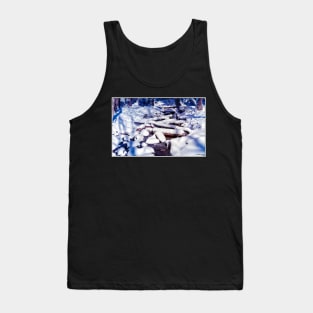 Winter Snow on a Spring Brook Tank Top